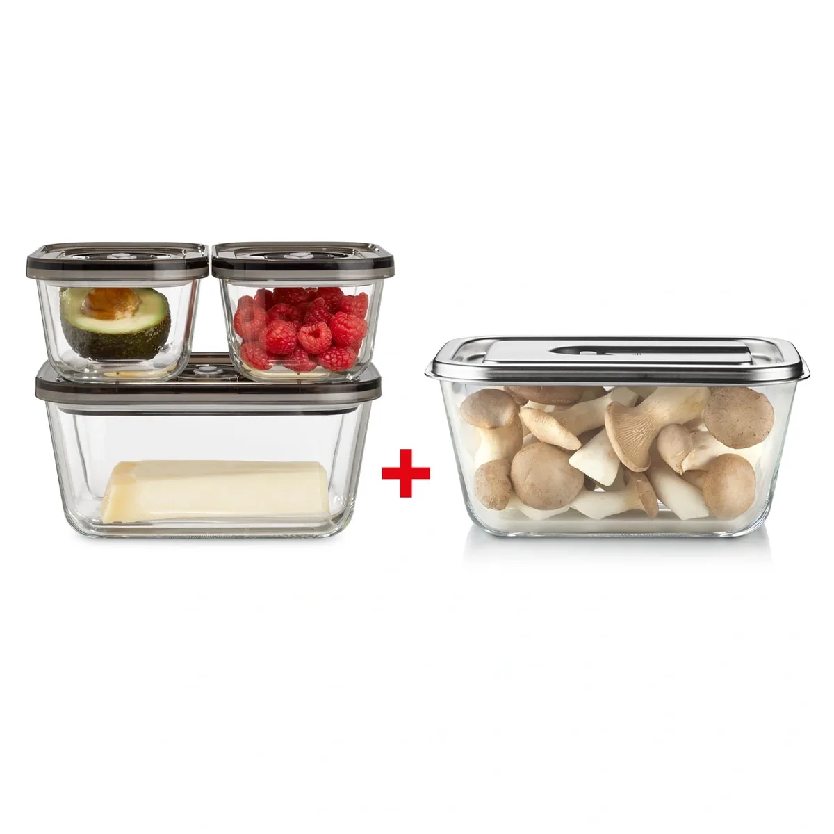 Hộp bảo quản chân không CASO VacuBoxx Eco-Set + Inox 2.6