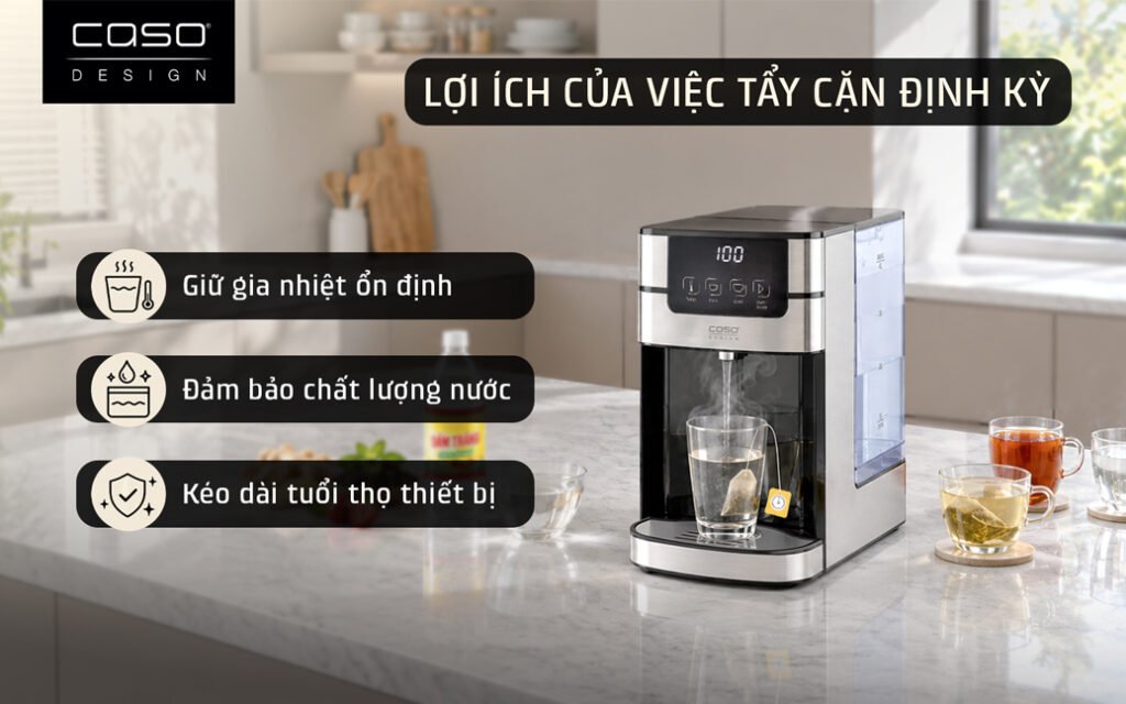 cách tẩy cặn bình thủy caso 1